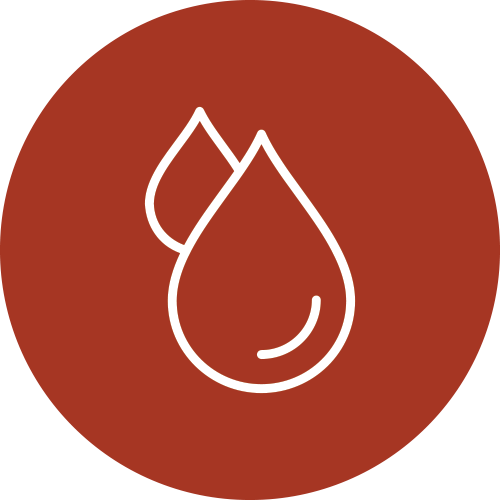 Drop of Blood Icon